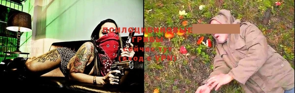 ГАЛЛЮЦИНОГЕННЫЕ ГРИБЫ Балахна