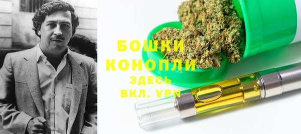ГАЛЛЮЦИНОГЕННЫЕ ГРИБЫ Балахна