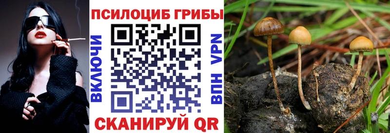 хочу наркоту  Кущёвская  ОМГ ОМГ ССЫЛКА  Псилоцибиновые грибы прущие грибы 